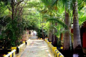 亨比Megha Resort , Hampi的公园里一条棕榈树成荫的小路