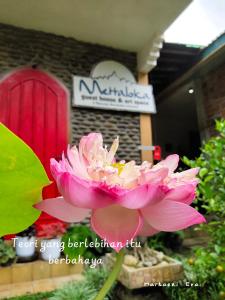 马格朗Mettaloka Guesthouse的一座建筑物前的粉红色花