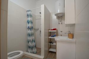 诺维格勒伊斯特拉Apartment Tomas的一间带卫生间和水槽的小浴室