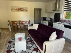 Sainte-Croix-en-PlaineMaison « jardin la cigogne »的客厅配有带紫色沙发的厨房