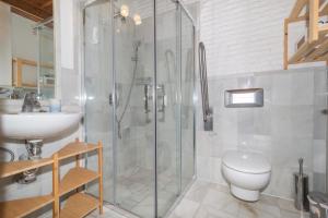 格拉纳达Alh Patio Apartamentos的带淋浴、卫生间和盥洗盆的浴室
