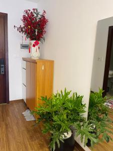 北宁LaLaHome Bắc Ninh的一间种植了植物的房间和鲜花的橱柜