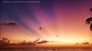吉汶瓦Polly Lodge Bungalow Zanzibar Kiwengwa的日落时分在天空上空的彩虹