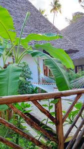 吉汶瓦Polly Lodge Bungalow Zanzibar Kiwengwa的植物屋前的吊床