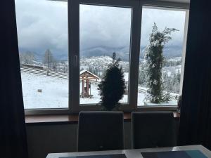 沃罗赫塔Мелодія Гір的窗户享有雪覆盖的山景。