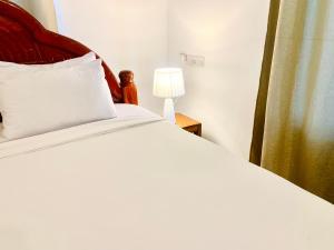 吉汶瓦Asili Nyumbani Residence的白色的床、白色枕头和灯