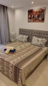 西迪·布·赛义德Cosy Appartement in "Sidi Bou Said"的一间卧室配有一张大床、毯子和枕头
