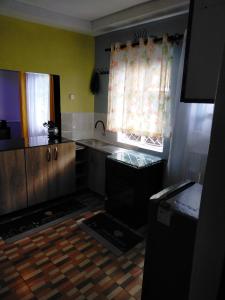 KisiiGreenstar Homes的一个带水槽和窗户的小厨房