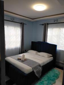 KisiiGreenstar Homes的卧室内的一张床位,卧室拥有蓝色的墙壁和窗户