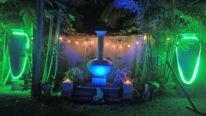 尼甘布棕榈别墅旅馆的蓝色的花瓶坐在院子里,灯火通明