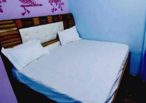 阿里格尔OYO The Villager's Residency的一张带两个枕头的床