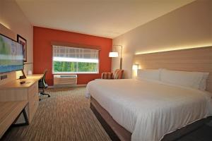 奥卡拉Holiday Inn Express & Suites Ocala, an IHG Hotel的配有一张床和一台平面电视的酒店客房