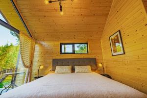佩什泰拉Saint Constantine Mountain Retreat的小木屋内的卧室,配有床