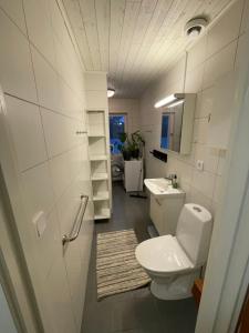 HestraHestra Guesthouse的一间带卫生间和水槽的浴室