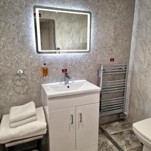 雷德卡克拉克斯顿酒店的浴室设有白色水槽和镜子