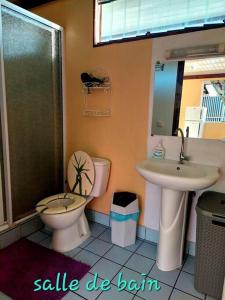 乌图罗阿FARE Miti en bord de mer Fare Tepua Lodge的一间带水槽、卫生间和镜子的浴室
