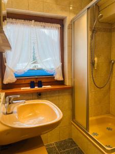 奥伯劳Hexen Haus的一间带水槽和淋浴的浴室以及窗户。