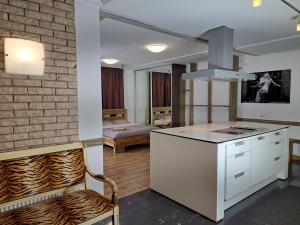 里加Champêtre Park View Apartments的一间带柜台的厨房和一间带沙发的房间