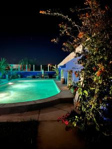 索维拉Villa aloe vera的夜间在院子里的游泳池