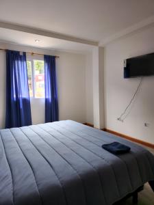 乌斯怀亚Apartamento Bosques de los Andes的一间卧室配有一张带蓝色床单的床和电视。