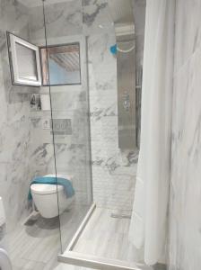 萨索斯Sparti Apartment的一间带卫生间和玻璃淋浴间的浴室