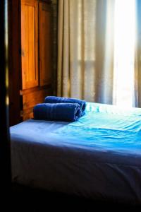 Villa Santa Cruz del LagoCABAÑAS DE MORA的床上的2个蓝色枕头