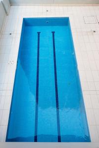 悉尼达令港APX公寓式酒店的大楼里的一个大型蓝色游泳池