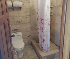 Villa CanalesVista Encantada Hotel & Masajes Profesionales的一间带卫生间和淋浴帘的浴室