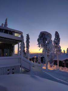 索特Pikkuhukka的一座被雪覆盖的建筑,有树为背景