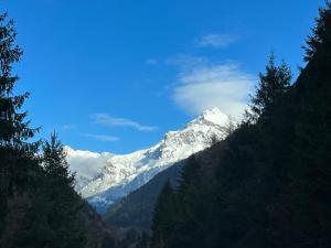 古尔特纳伦Casa Restelli EG - nahe Andermatt Gotthard的森林中间的雪覆盖的山