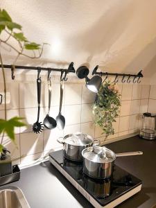 梅明根NAMI - ROBIN - Helle Apartments mitten in der Stadt的厨房炉灶,配有锅碗瓢盆和餐具