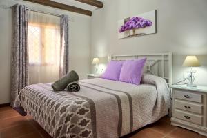 卢克Casa Rural Vistaluque的一间卧室配有一张带紫色枕头的床和窗户。