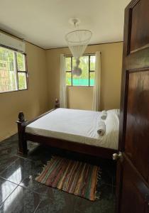 卡维塔Casa Rio Verde的一间卧室,卧室内配有一张大床