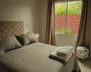 埃利萨镇Vina的窗户和毛巾床上的一张床位