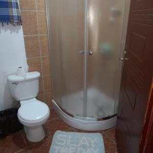 西区TOnat Caribe Hostel的带淋浴和卫生间的浴室以及地毯。