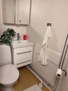 松兹瓦尔Lägenhet med egen ingång.的浴室配有白色卫生间和盥洗盆。