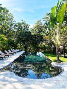 圣卡塔利娜岛Villa Coco的公园里一个带椅子和棕榈树的游泳池