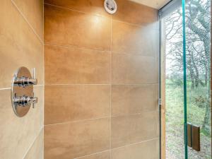 CarsethornThe Treehouse Caerlaverock - Uk45028的带淋浴的浴室和玻璃门