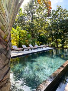 圣卡塔利娜岛Villa Coco的一个带躺椅的游泳池和一个喷泉