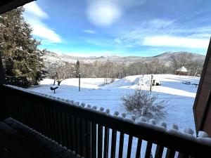 巴特利特White Mountains Getaway with amazing views!的阳台享有雪覆盖的庭院的景致。