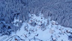 科帕奥尼克KopanikTreskaPotok15e的雪覆盖的小村庄的空中景观
