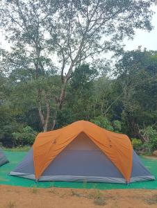 马迪凯里Nature river camp的树前的橙色和灰色帐篷