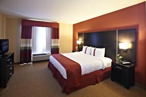 胡佛伯明翰 - 胡佛假日酒店的酒店客房设有一张大床和一台电视。