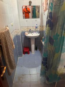 沙姆沙伊赫Morning Star Guesthouse的一间带水槽和淋浴帘的浴室