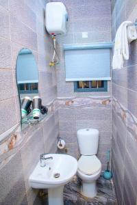 伊凯贾ERiTH APARTMENT & SUITES的一间带卫生间和水槽的小浴室