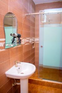 伊凯贾ERiTH APARTMENT & SUITES的一间带水槽和淋浴的浴室