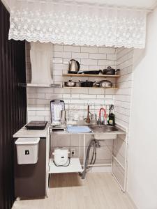 济州市MO Guesthouse的一个带水槽和柜台的小厨房