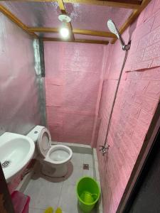 BatuanFely's Homestay的粉红色的浴室设有卫生间和水槽