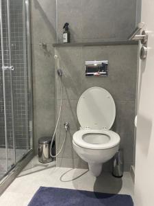德班Trendy Apartment的一间带卫生间和淋浴的小浴室