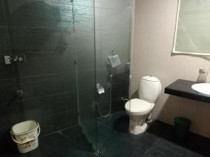 拉特纳吉里Vits Select Grand Inn, Ratnagiri的带淋浴、卫生间和盥洗盆的浴室